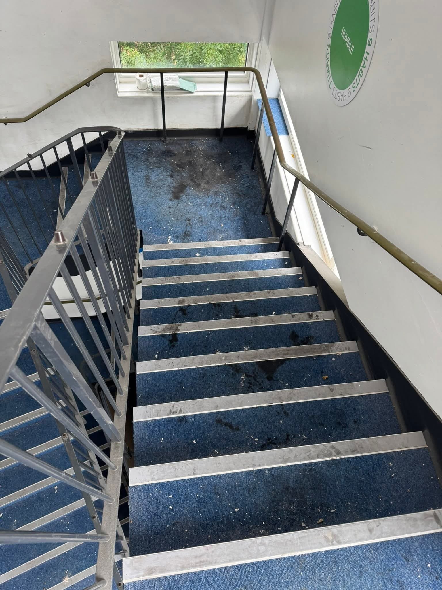  Nettoyage moquette bureau 