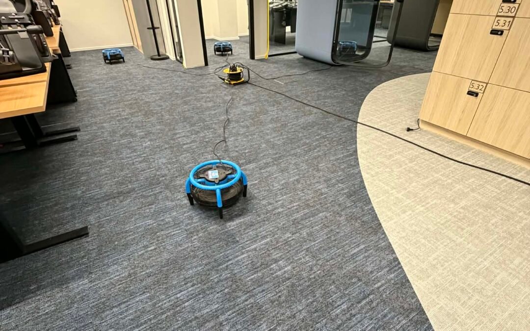 Nettoyage de moquette pour entreprise à Bruxelles : ce que ça change vraiment