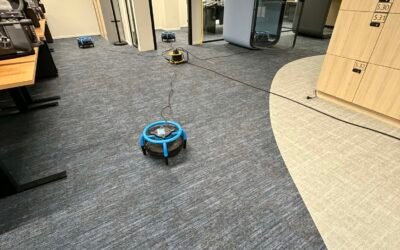 Nettoyage de moquette pour entreprise à Bruxelles : ce que ça change vraiment