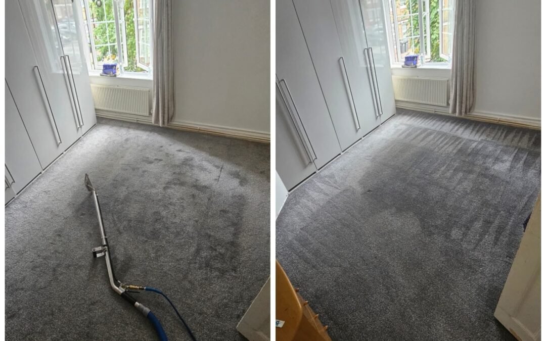 Carpet Cleaning in Brussels: The Complete Guide for Expats and Residents